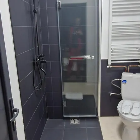Aparthotel Casa Damian Drobeta