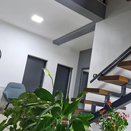 Casa Damian Drobeta Aparthotel