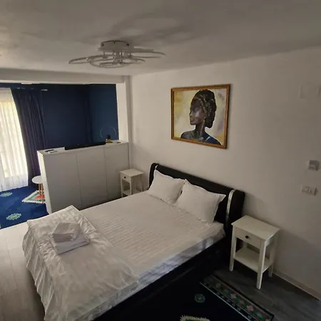 Casa Damian Drobeta Aparthotel