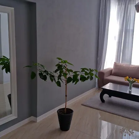 아파트호텔 Casa Damian Drobeta 드로베타 투르누 세베린